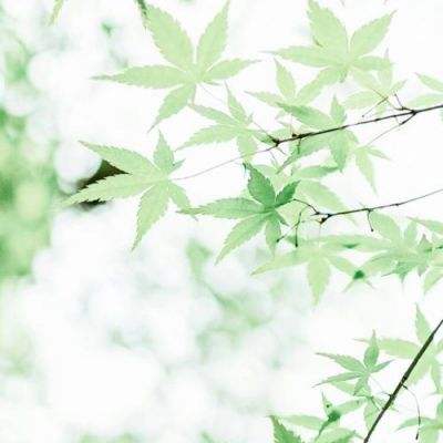侍魂仙侠录手机版下载