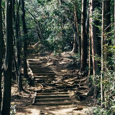 绝世王爷手游下载