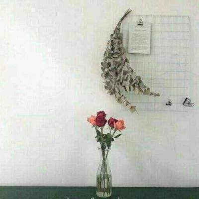 赚钱当皇帝游戏下载